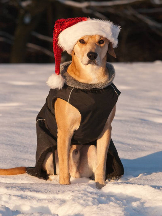 Frohe Weihnachten! - CALVENDO Foto-Puzzle'