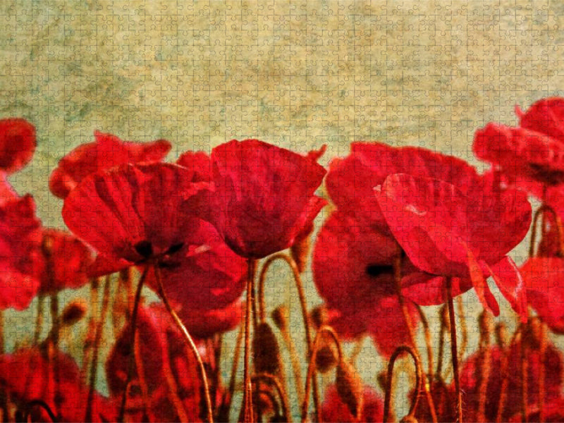 summerbreeze - CALVENDO Foto-Puzzle'