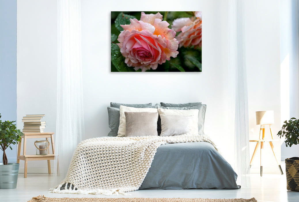 Premium Textil-Leinwand Premium Textil-Leinwand 120 cm x 80 cm quer Englische Rose im Regen