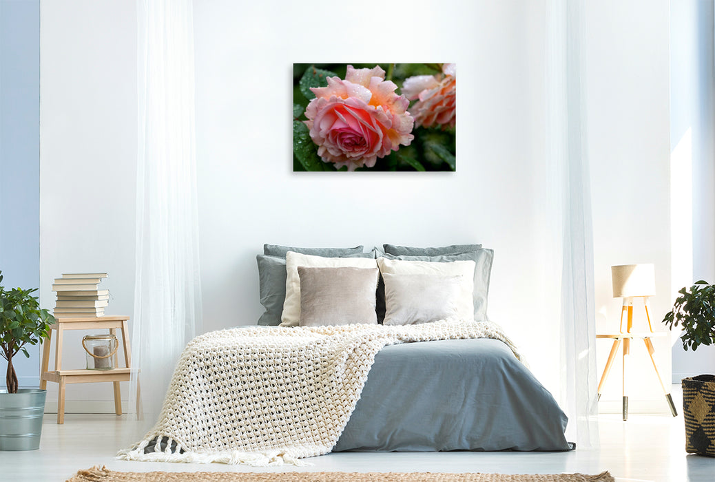 Toile textile premium Toile textile premium 120 cm x 80 cm paysage rose anglaise sous la pluie 