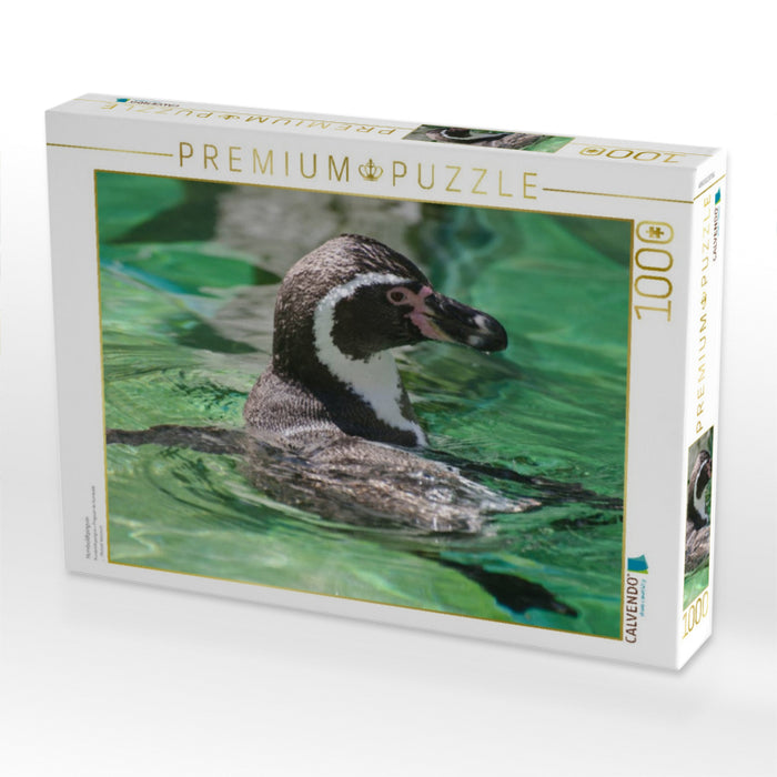 Humboldtpinguin - CALVENDO Foto-Puzzle'