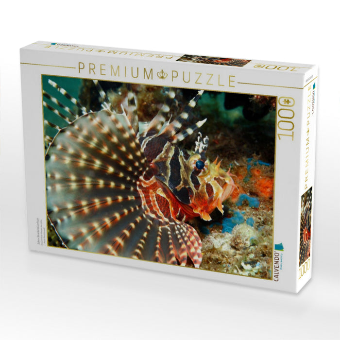 Zebra-Strahlenfeuerfisch - CALVENDO Foto-Puzzle'