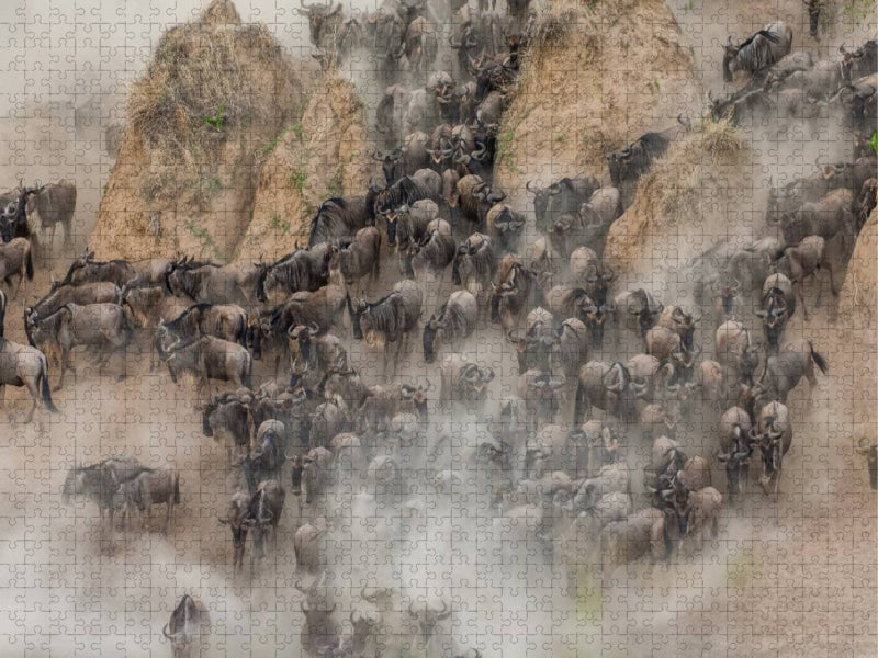 Gnus - CALVENDO Foto-Puzzle'
