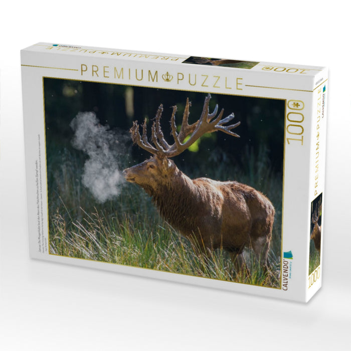 Januar: Die Morgenkälte lässt den Atem des Platzhirschen zu heißen Dampf werden. - CALVENDO Foto-Puzzle'