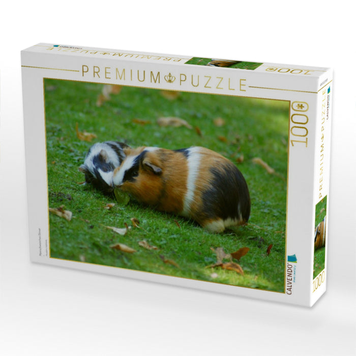 Meerschweinchen Dinner - CALVENDO Foto-Puzzle'