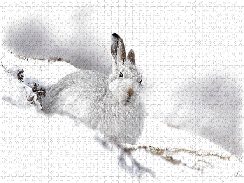 Schneehase im Winterfell - CALVENDO Foto-Puzzle'