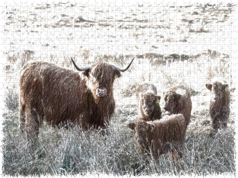 Schottisches Hochlandrind in Glencoe - CALVENDO Foto-Puzzle'