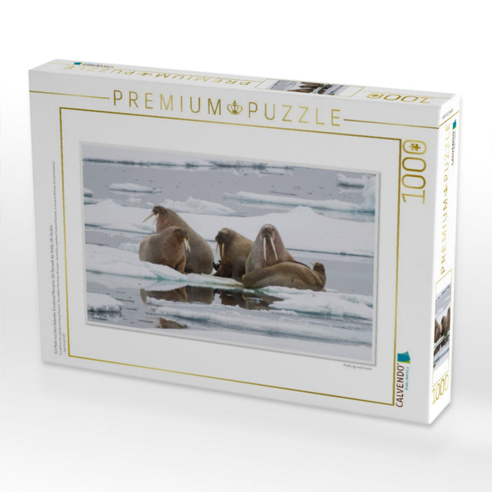 Ein Motiv aus dem Kalender Emotional Moments: Die Tierwelt der Arktis. UK-Version - CALVENDO Foto-Puzzle'