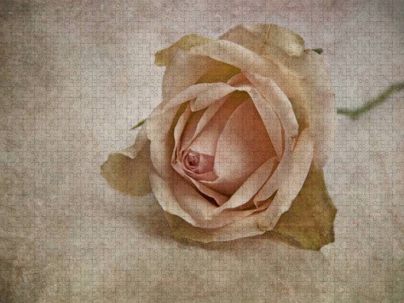 La vie en rose - CALVENDO Foto-Puzzle'