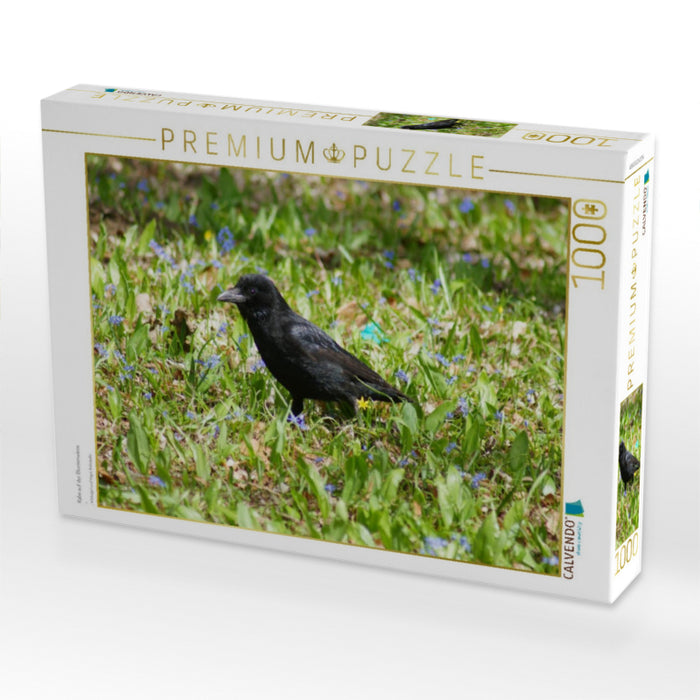 Rabe auf der Blumenwiese - CALVENDO Foto-Puzzle'