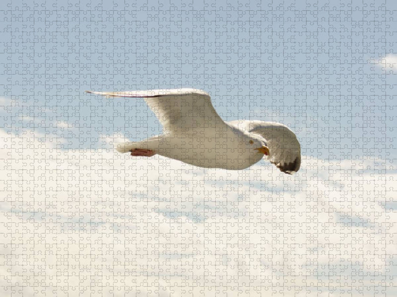 Fliegende Silbermöwe - CALVENDO Foto-Puzzle'