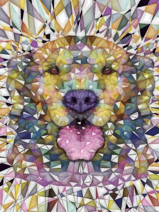 Regenbogen Hund - CALVENDO Foto-Puzzle'