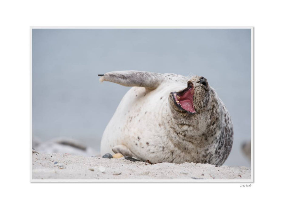 Ein Motiv aus dem Kalender Emotional Moments: Heligoland - Insel in der Nordsee. / UK-Version - CALVENDO Foto-Puzzle'