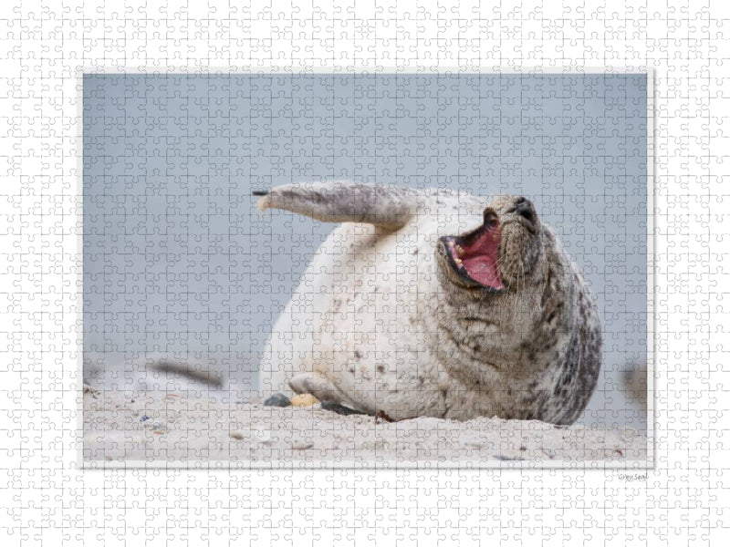 Ein Motiv aus dem Kalender Emotional Moments: Heligoland - Insel in der Nordsee. / UK-Version - CALVENDO Foto-Puzzle'