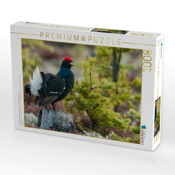 Juli: Auf einem Baumstumpf lässt es sich besonders gut rufen. - CALVENDO Foto-Puzzle'