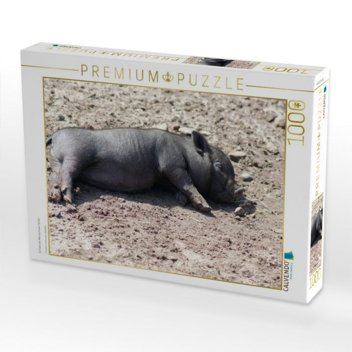 Schlafende Mikroschwein Ferkel - CALVENDO Foto-Puzzle'