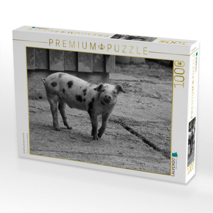 Glückliches Bentheimer Ferkel - CALVENDO Foto-Puzzle'