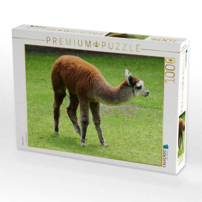 Alpaka Fohlen - CALVENDO Foto-Puzzle'