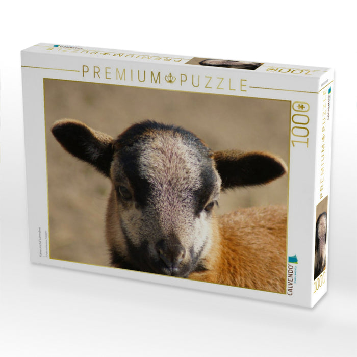 Kamerunschaf Lämmchen - CALVENDO Foto-Puzzle'