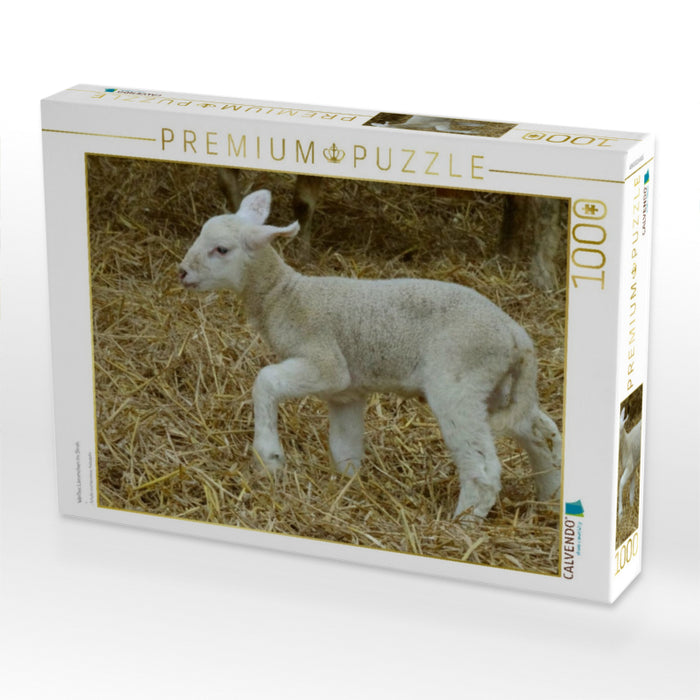 Weißes Lämmchen im Stroh - CALVENDO Foto-Puzzle'
