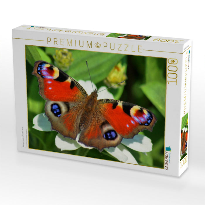 Tagpfauenauge auf weißer Blüte - CALVENDO Foto-Puzzle'