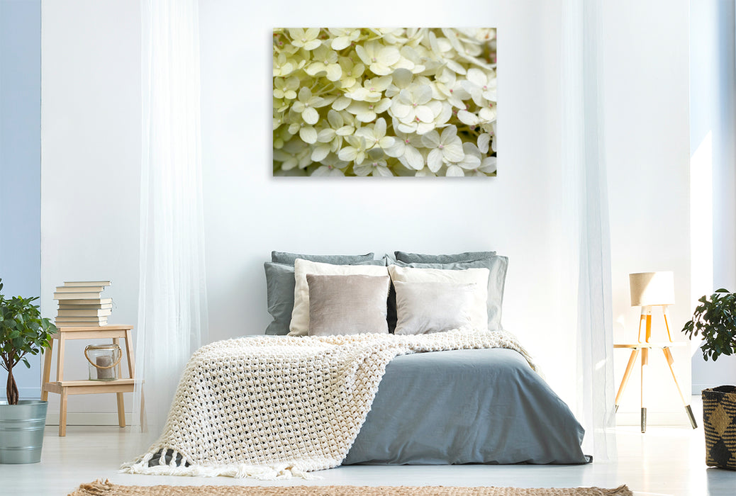 Toile textile premium Toile textile premium 120 cm x 80 cm paysage Hortensia blanc 