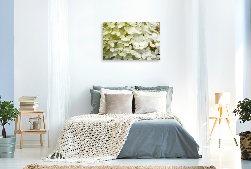 Toile textile premium Toile textile premium 120 cm x 80 cm paysage Hortensia blanc 