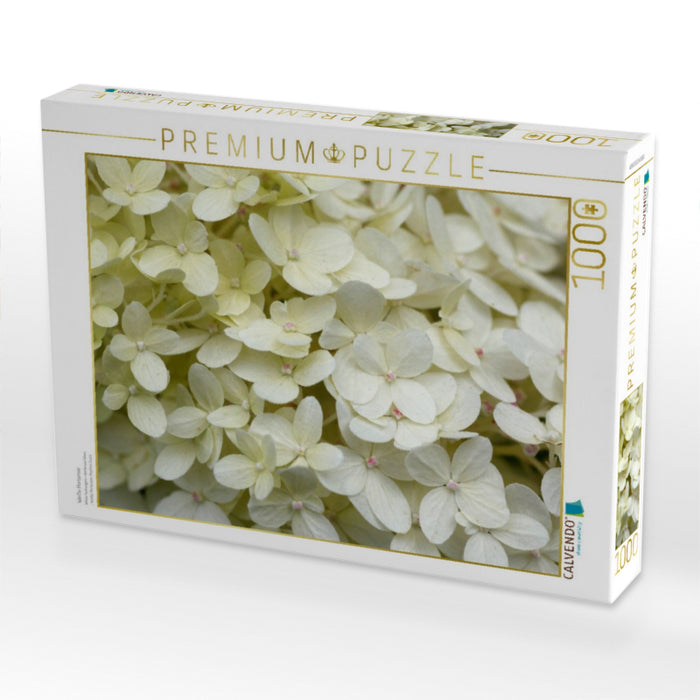 Weiße Hortensie - CALVENDO Foto-Puzzle'