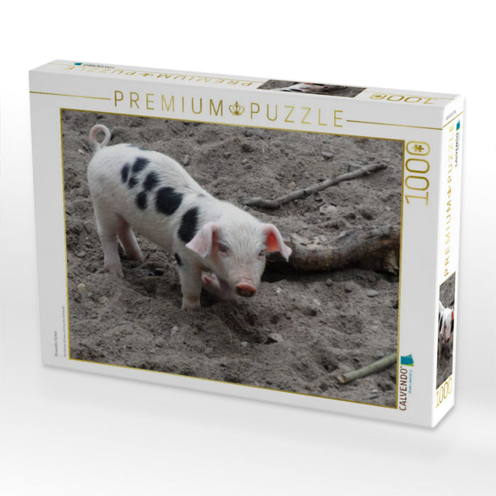 Rosarotes Ferkel - CALVENDO Foto-Puzzle'