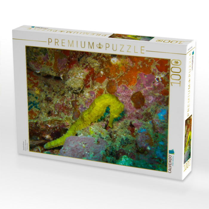 Seepferdchen - CALVENDO Foto-Puzzle'