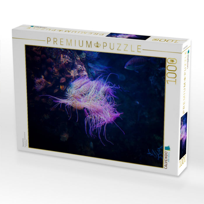 Seeanemone - CALVENDO Foto-Puzzle'