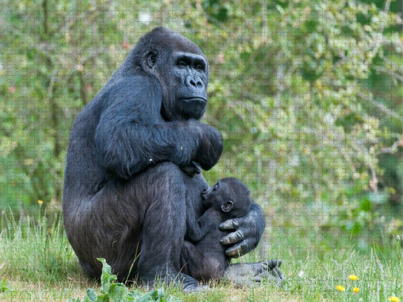 Gorilla mit Baby - CALVENDO Foto-Puzzle'