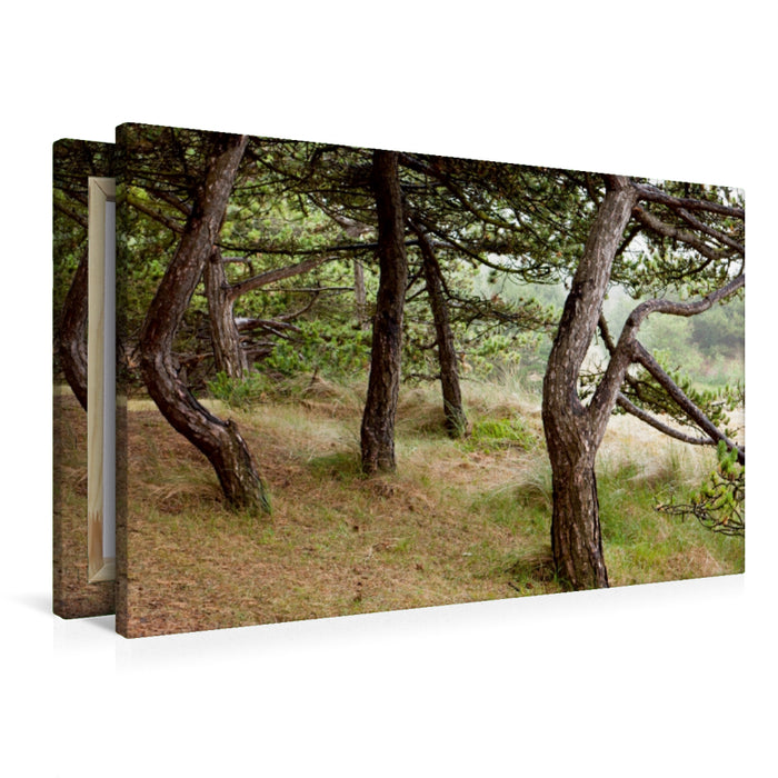 Premium Textil-Leinwand Kiefernwald am Leuchtturm