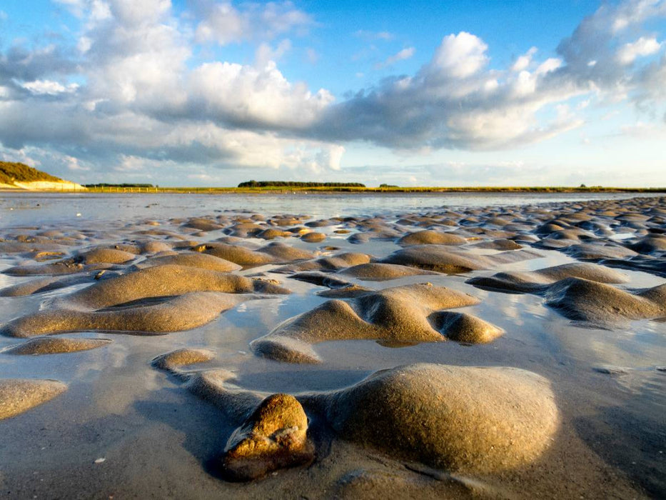 Im Naturschutzgebiet "T´Zwien" - CALVENDO Foto-Puzzle'