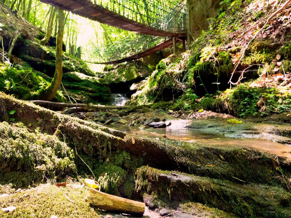 Butzerbachtal bei Bitburg - CALVENDO Foto-Puzzle'