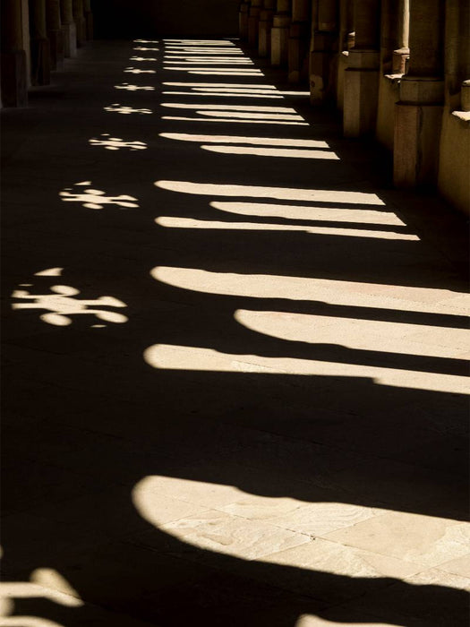 Trier, Kreuzgang des Dom/Liebfrauenkirche - CALVENDO Foto-Puzzle'