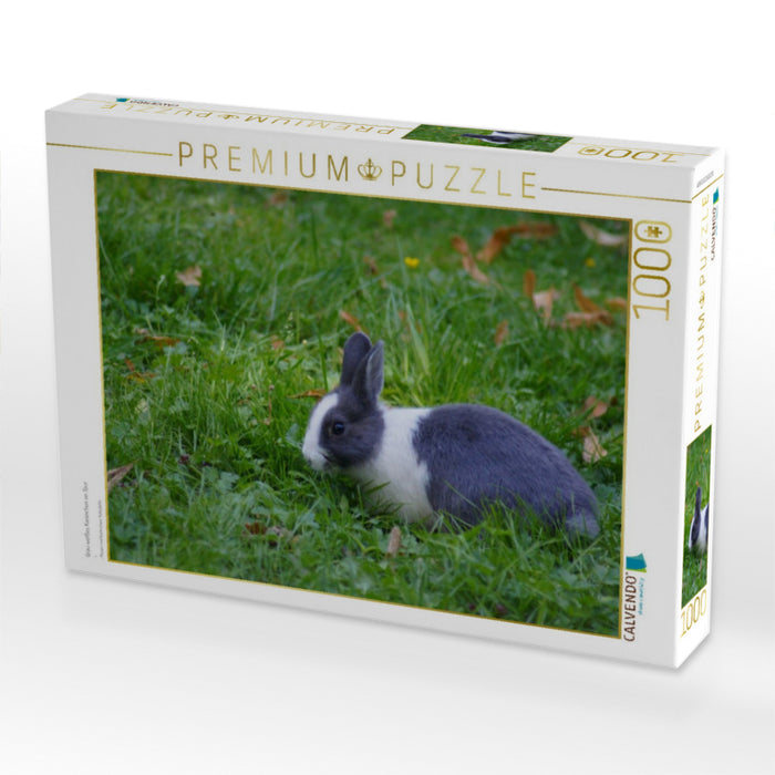 Grau weißes Kaninchen on Tour - CALVENDO Foto-Puzzle'