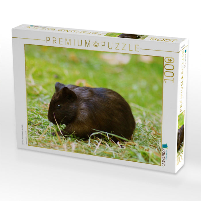 Dunkles Meerschweinchen Baby - CALVENDO Foto-Puzzle'