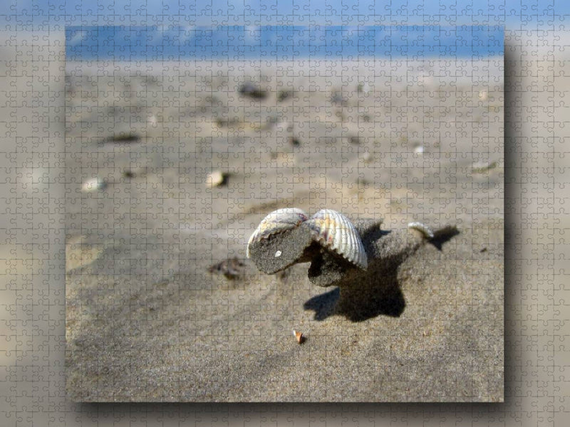 Herzmuschel im Wind - CALVENDO Foto-Puzzle'