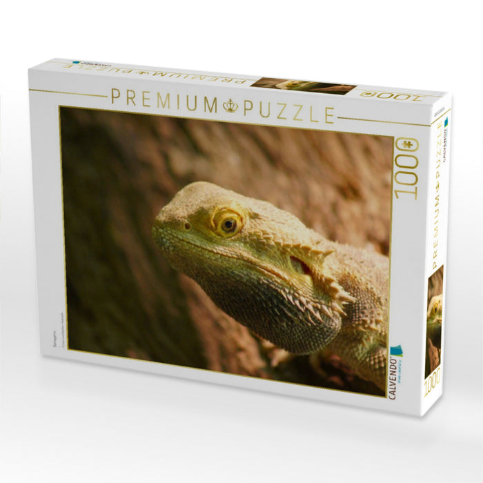 Bartagame - CALVENDO Foto-Puzzle'