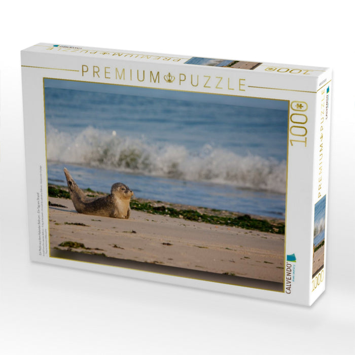 Ein Motiv aus dem Kalender Baltrum - Ein Tag am Strand - CALVENDO Foto-Puzzle'