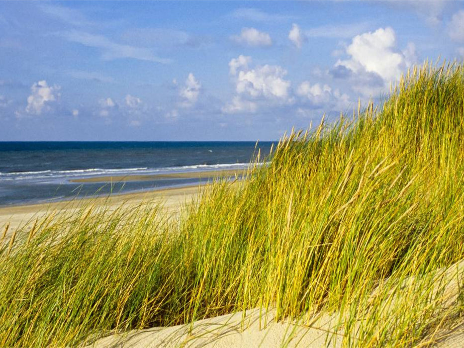 Texel - CALVENDO Foto-Puzzle'