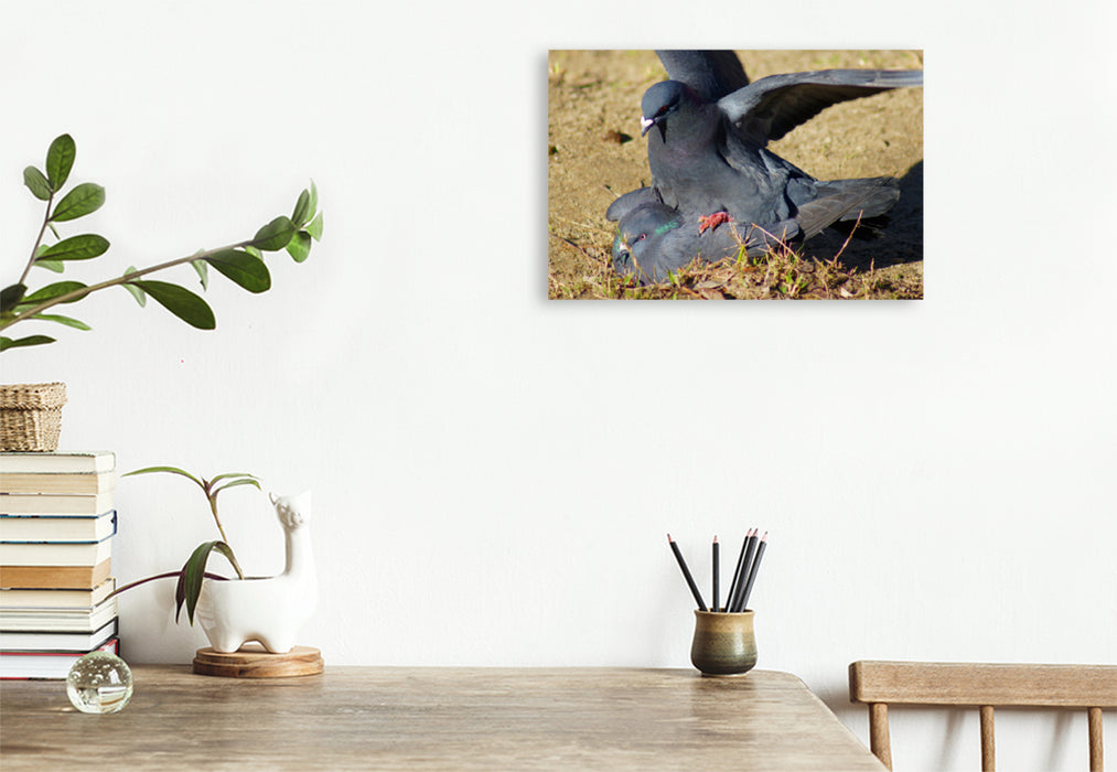 Premium textile canvas Premium textile canvas 75 cm x 50 cm landscape doves love 