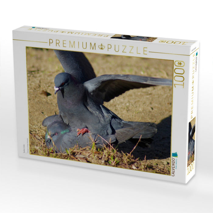 Tauben Liebe - CALVENDO Foto-Puzzle'