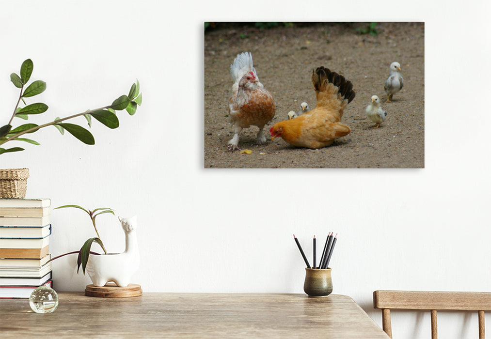 Premium textile canvas Premium textile canvas 120 cm x 80 cm landscape Funny flock of chickens 