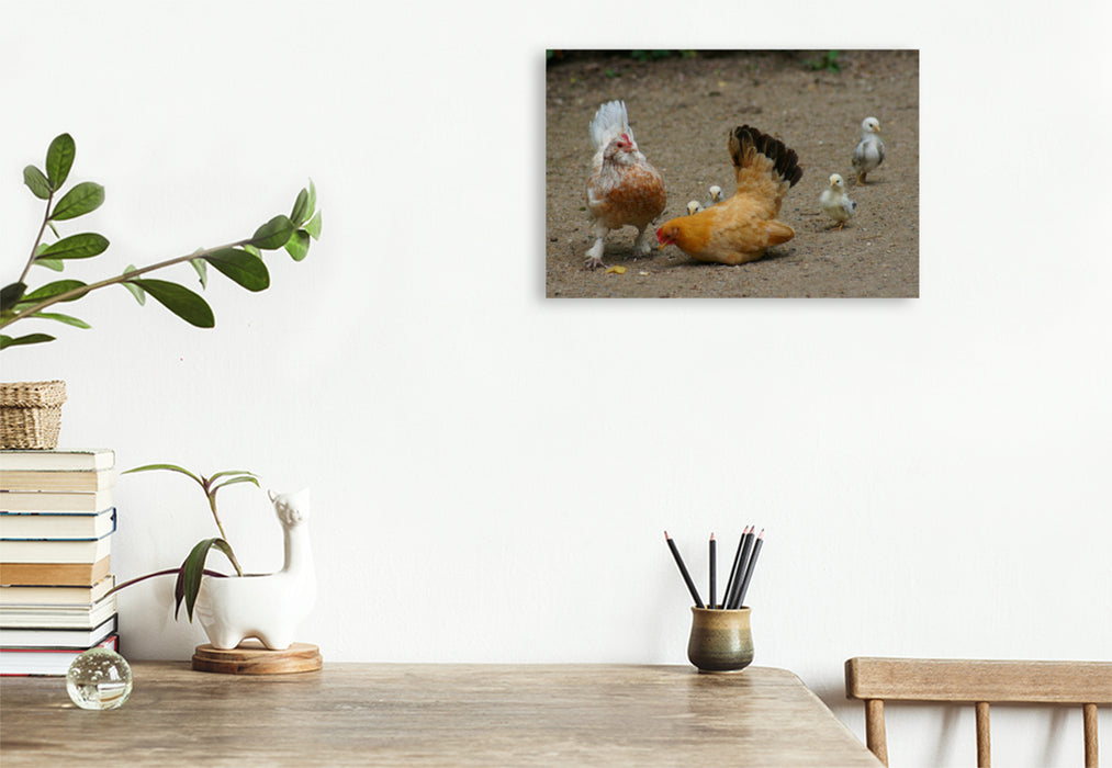 Premium textile canvas Premium textile canvas 120 cm x 80 cm landscape Funny flock of chickens 