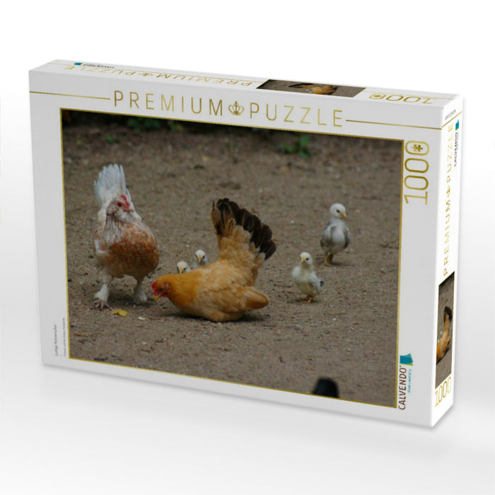 Lustige Hühnerschar - CALVENDO Foto-Puzzle'