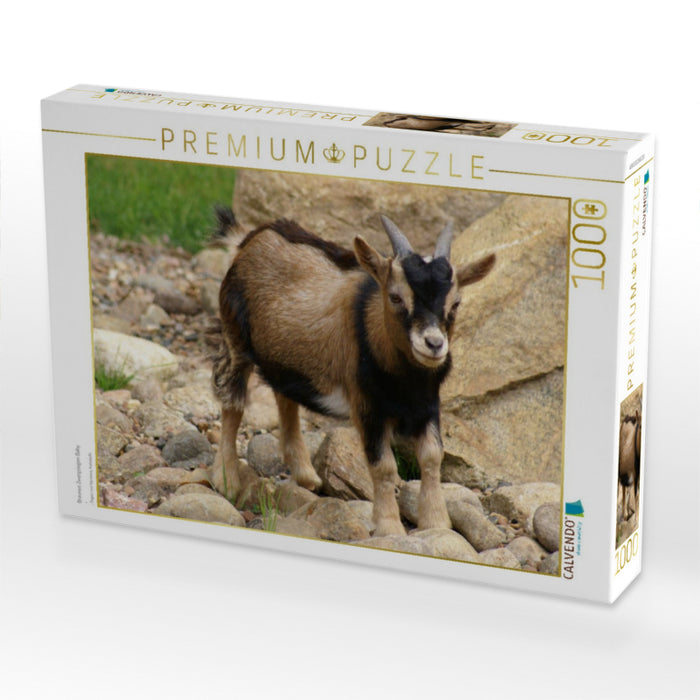 Braunes Zwergziegen Baby - CALVENDO Foto-Puzzle'