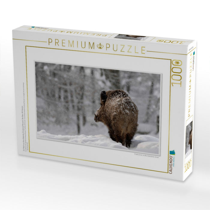 Ein Motiv aus dem Kalender Emotional Moment: Die Eber. UK-Version - CALVENDO Foto-Puzzle'
