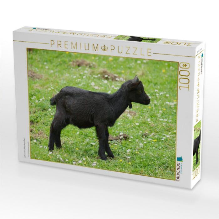 Schwarzes Zwergziegen Baby - CALVENDO Foto-Puzzle'